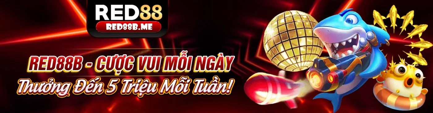 Tổng quan về tầm quan trọng của chiến lược cá cược thể thao
